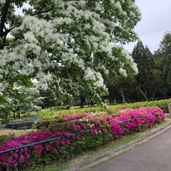 第3回・大人の為のウォーキング会🏃‍♀️