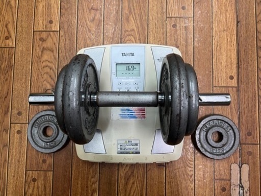 鉄製　ダンベル　19.3kg 2セット