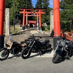 バイク仲間募集中(^｡^)