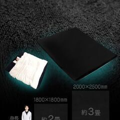 【新品未使用】Bauhutte(バウヒュッテ) 部屋ごとベッドラグ 