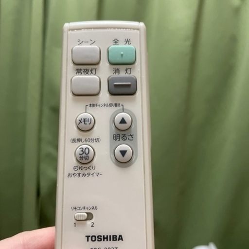 シーリングライト