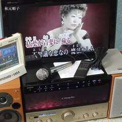 ジョイサウンド　JS-WX　業務用を家庭で　カラオケ　本格的にの画像