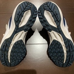 ミズノ　トレーニングシューズの画像