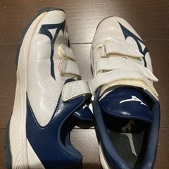 ミズノ　トレーニングシューズの画像