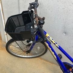 自転車 マウンテンバイクの画像