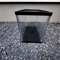 ガラス水槽の画像