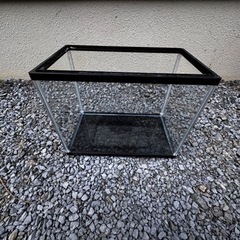 ガラス水槽の画像