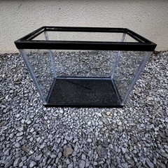ガラス水槽の画像