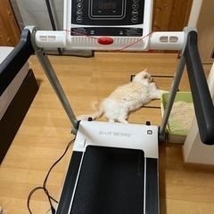 ルームランナー⭐︎最高速度14km/h！安全装置付き