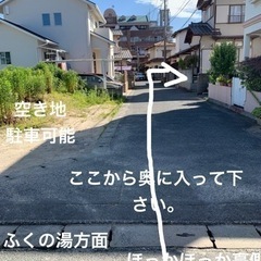 5月19日から　めだかの蓮音無人販売所　めだか販売　メダカ販売の画像