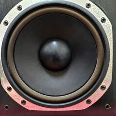 【ご予約済】　　　　　 LS-990Dの画像