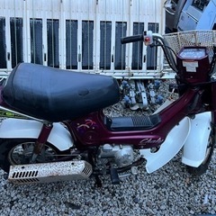 シャリイホンダCF50