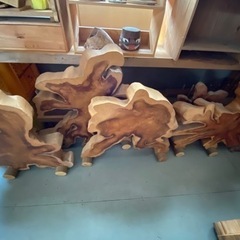 カイヅカイブキの輪切りの画像