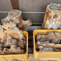 カイヅカイブキの輪切りの画像