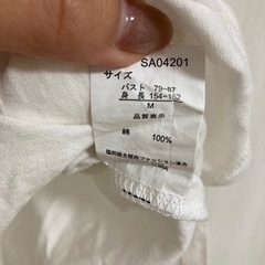 Tシャツ　レディースの画像