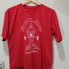 2枚セット・ゴールドジム 半袖Tシャツ サイズL 