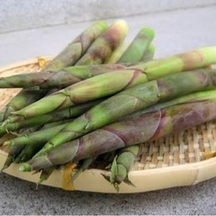 朝採れのたけのこ（1kg）