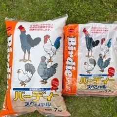 ニワトリの餌