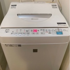 家電 生活家電 洗濯機