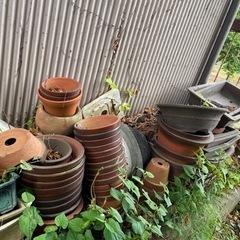 生活雑貨 家庭用品 ガーデニング