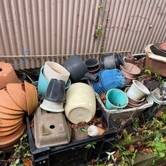 生活雑貨 家庭用品 ガーデニングの画像