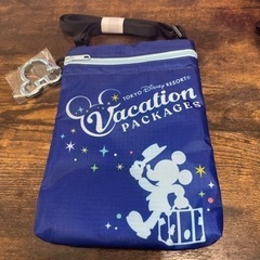 ディズニー バケーションパッケージの中古が安い！激安で譲り