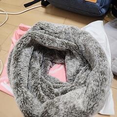 マフラーの画像