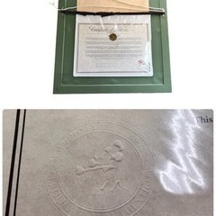 NO.1443 【真作】 PLANE CRAZY 鑑定書付 アニメーション セル画 限定品 額装 プレーンクレイジー ミッキーマウス モノクロ 白黒 WALT DISNEY ディズニーの画像