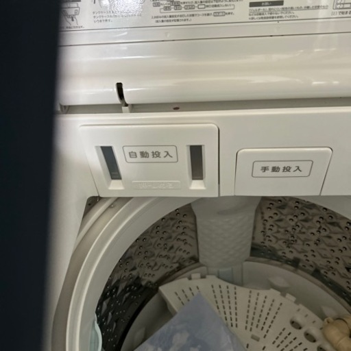 家電 生活家電 洗濯機
