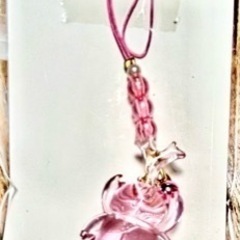 オキナワヒラタ♂特大サイズ⭐️オマケ付き💖値下げしました✨の画像