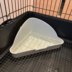 ケージ　　の画像