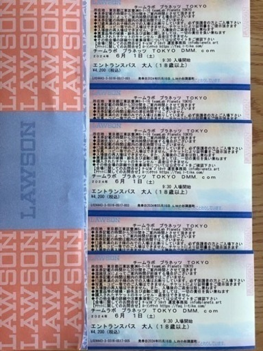 チームラボ豊洲 チケット テーマパーク/遊園地