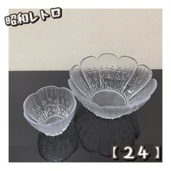 昭和レトロ　そうめん用食器　５セット（24）