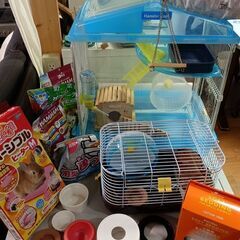 【手渡し限定】ハムスター　飼育セット　一式