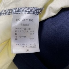 14重ね着風ブラウス8Lサイズの画像