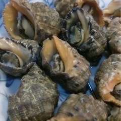 食品