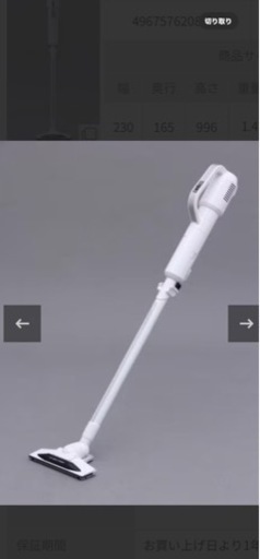 家電 生活家電 掃除機