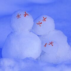 必要な写真を何でも撮影します。 - 所沢市