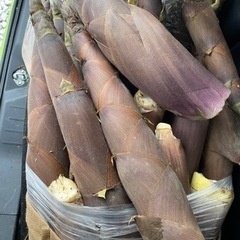 食品