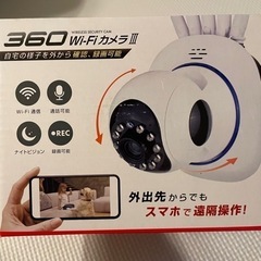 360WiｰFiカメラの画像