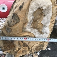 大幅値下　博物館級　気軽に質問、交渉を！巨大なアンモナイト化石1/4 中はパワーストーンのカルサイトの画像