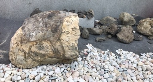 【大幅値下】アンモナイト化石 約15cm 約2.8kg 大幅値下】アンモナイト化石 約15cm 約2.8kg