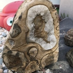 大幅値下　博物館級　気軽に質問、交渉を！巨大なアンモナイト化石1/4 中はパワーストーンのカルサイトの画像