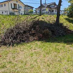 薪などにいかがですか？