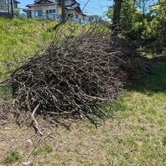 薪などにいかがですか？の画像