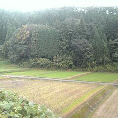 農業体験してみませんか - 金沢市