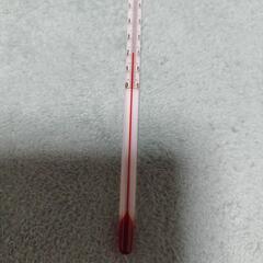 シンワ　赤液　棒状　温度計　美品の画像