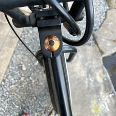 Bronx ファットバイクの画像