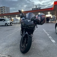 YAMAHA  yzf-r25の画像