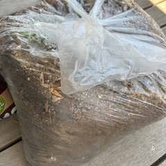 土　観葉植物用だった古い土